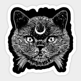 Night Cat Sticker